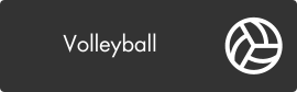 Volleyball (png)